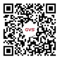 GVSStake视频号