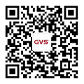 GVSStake公家号